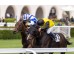  Carrera: P.Hipódromo de San Sebastián Caballo: Almanzora Monta: J.Gelabert